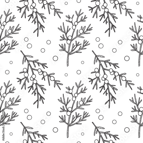 Vector Seamless pattern with Juniper branches and berries. Hand drawn Repeating background with heather plants and fruits. Food, medicine ingredient. Design for print, textile, paper, card, label