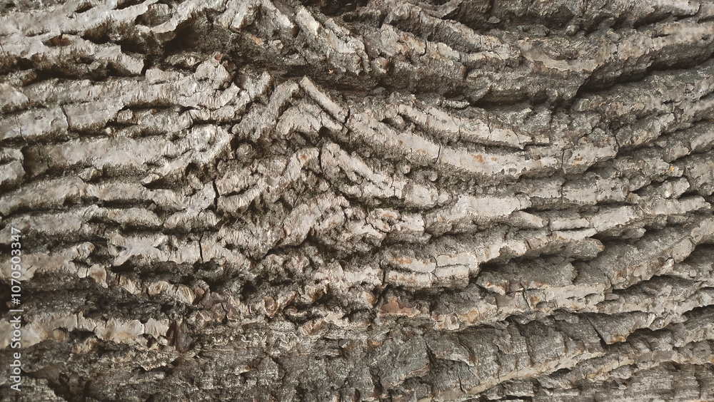 Old tree bark horizontal background