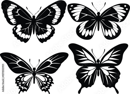 set of Butterfly silhouette butterfly silhouette icon vector illustration 