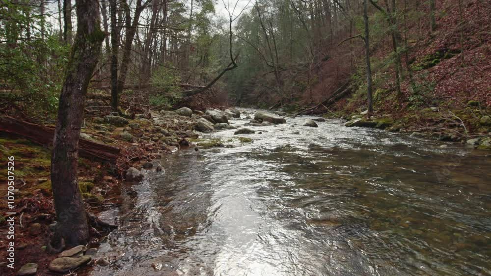 Panning shot of Big Soddy Creek near Chattanooga, Tennessee Panning shot of Big Soddy Creek near Chattanooga, Tennessee