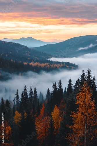 Panoramic view of autumnal mountains shrouded in fog at sunrise.