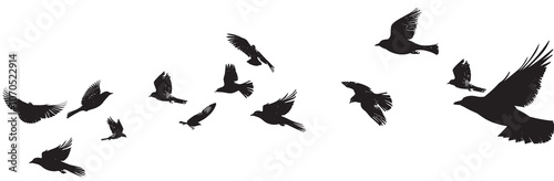 A flock of silhouetted birds soaring gracefully in the sky, captured in mid-flight against a stark white background, conveying a sense of freedom and motion.