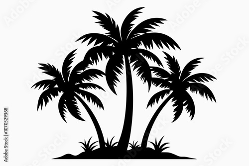 Set of palm tree black silhouette Vector illustration on a white background