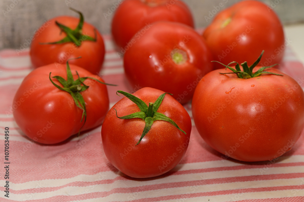 Freshly picked ripe tomatoes arranged artistically on a striped kitchen towel, showcasing vibrant colors and shapes
