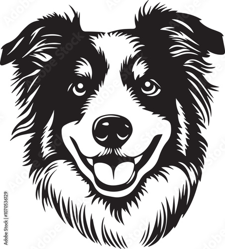 adorable australian shepherd dog face