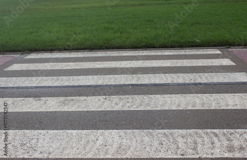 Wallpaper Mural marking on asphalt, pedestrian crossing. Torontodigital.ca