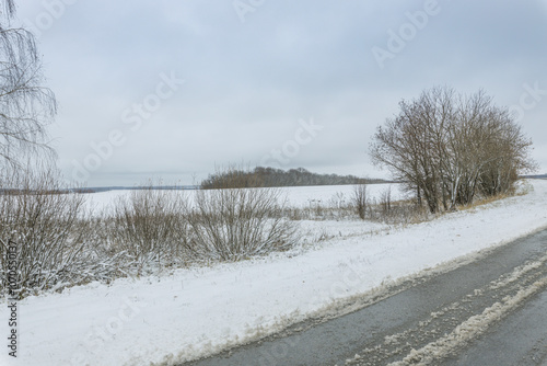 A snowy road with a tree line in the background