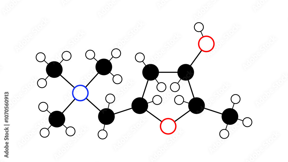 muscarine molecule, structural chemical formula, ball-and-stick model, isolated image alkaloid muscarine molecule, structural chemical formula, ball-and-stick model, isolated image alkaloid