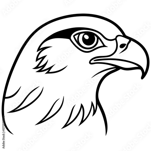 eagle head vector