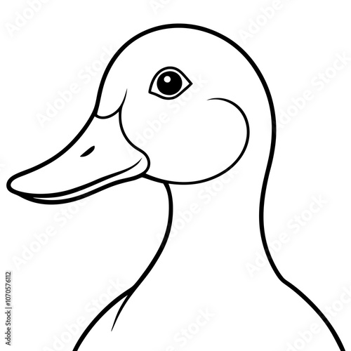 duck isolated on white