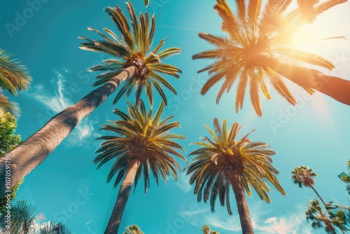 Summer Los Angeles. Low Angle Shot of Palm Trees with Sun Rays in Beverly Hills
