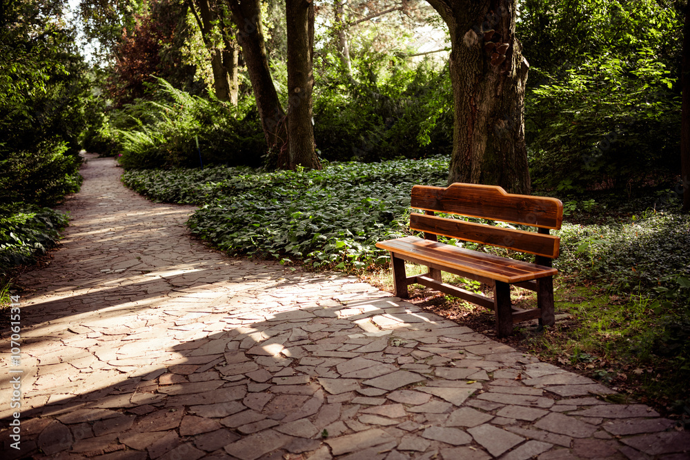Photo of wooden bench in urban park public place for tourists beautiful summer season outdoor Photo of wooden bench in urban park public place for tourists beautiful summer season outdoor