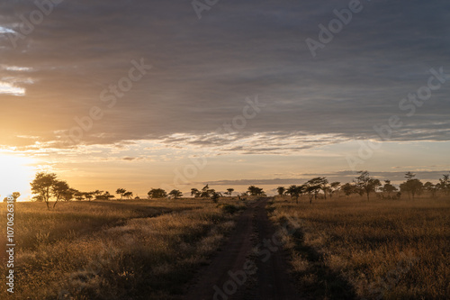 Sunrise in the savannah, Serengeti National Park