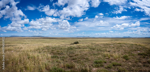 The savannah, Serengeti National Park