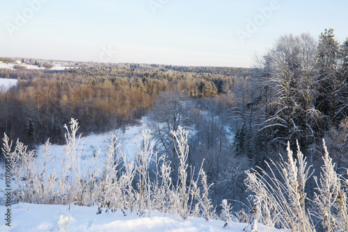 Winter snowy frosty landscape. The forest is covered with snow. Frost and fog in the park.