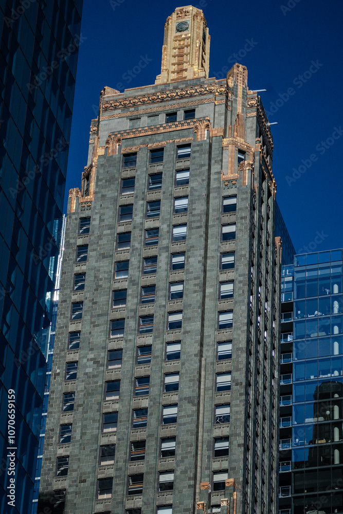 Obraz premium skyscrapers in the city