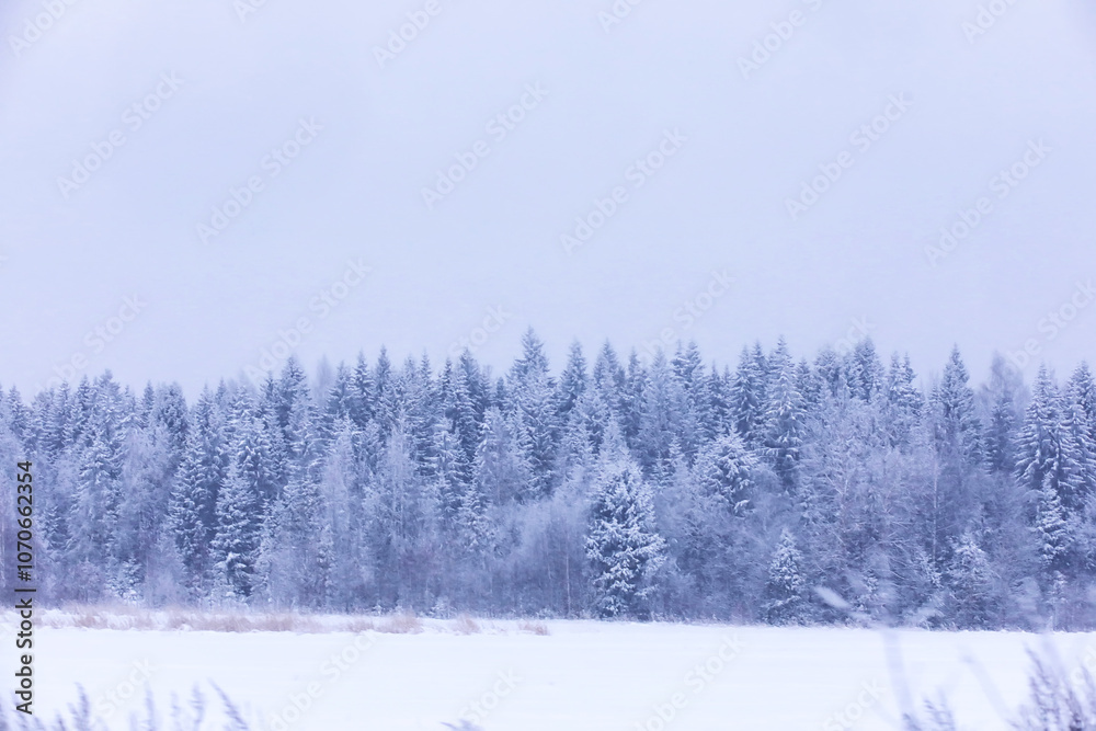 The forest is covered with snow. Frost and snowfall in the park. Winter snowy frosty landscape. The forest is covered with snow. Frost and snowfall in the park. Winter snowy frosty landscape.