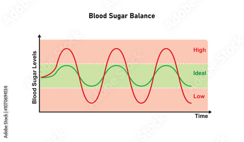 Blood Glucose Balance Science Design. Vector Illustration.