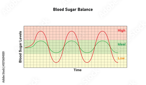 Blood Glucose Balance Science Design. Vector Illustration.