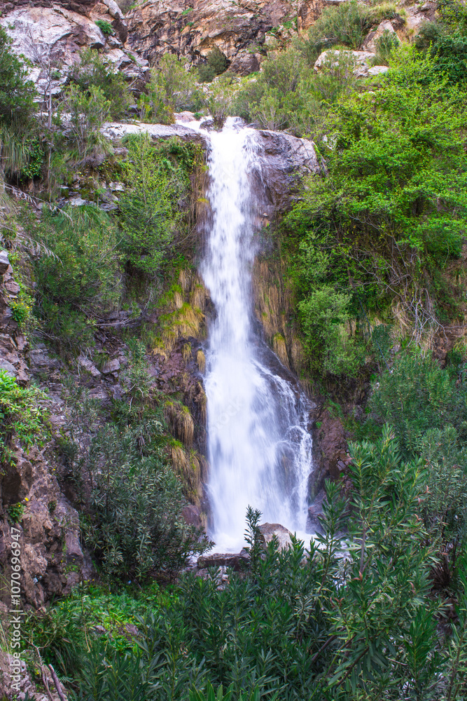Obraz premium Waterfall falling from the rocks and trees around it in middle of forest and mountain in Jijel, Algeria, Africa, Beautiful waterfall for landscape, River waterfall, rain water and stream, water fall.