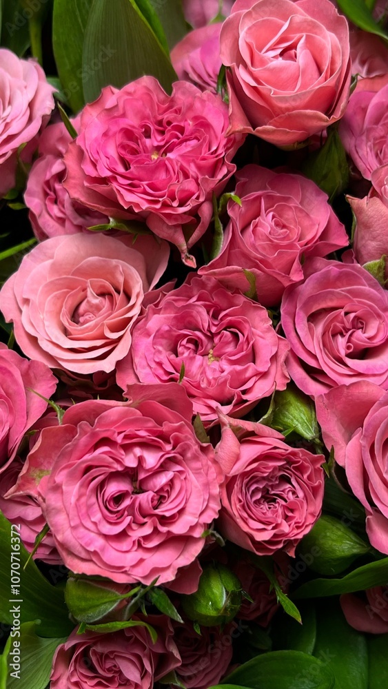 Obraz premium flower