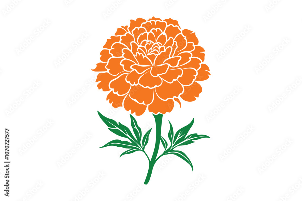 Marigold vector Bundle, Marigold Silhouette vector illustration Marigold vector Bundle, Marigold Silhouette vector illustration