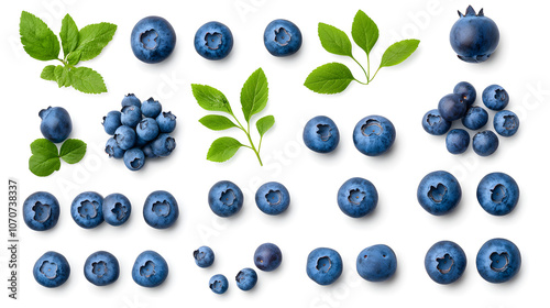 Blueberries on white backdrop, top view