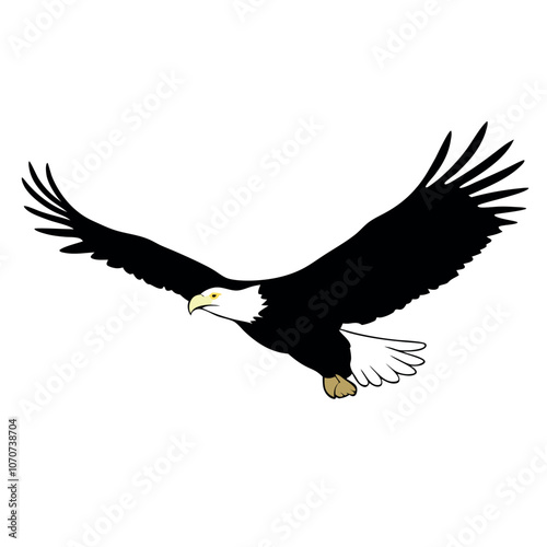 a bald eagle in flight vector art illustration isolated white background