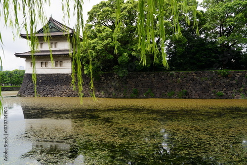 Kokyo Gaien National Garden (Tokyo, Japan) photo