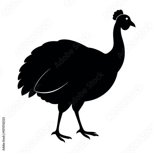 a turkey running fast vector art illustration isolated white background photo