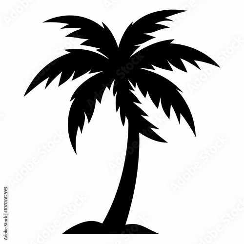 palm tree silhouette