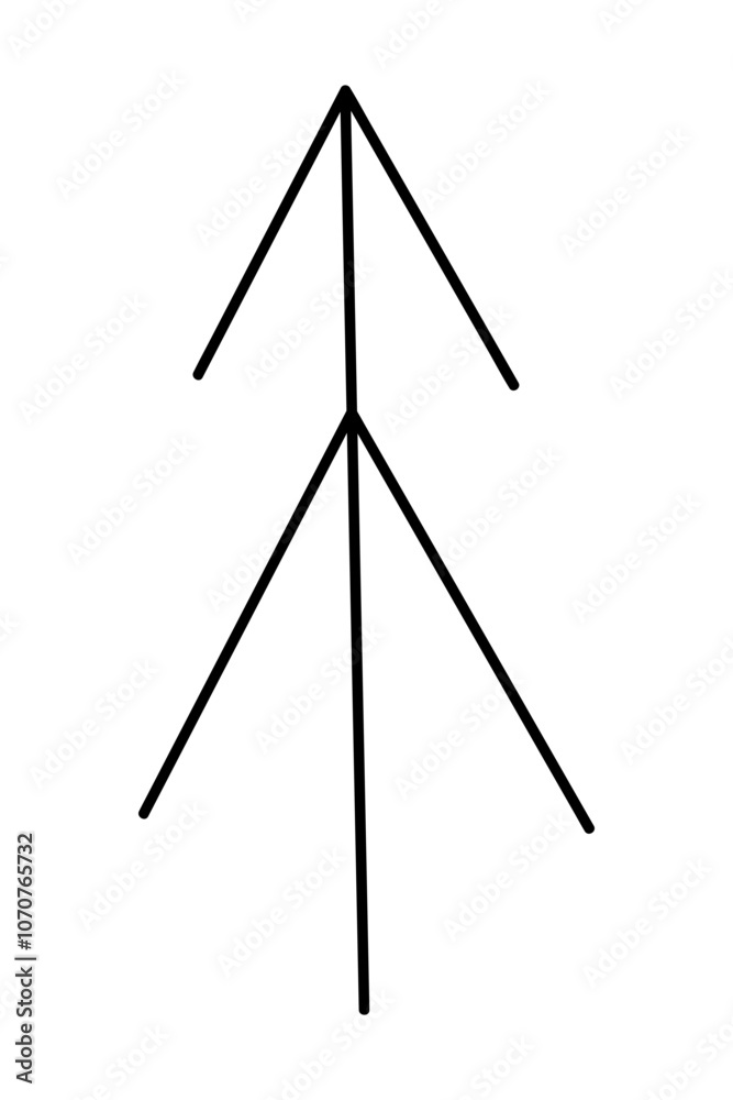 Spruce tree. Doodle black and white clipart illustration. Spruce tree. Doodle black and white clipart illustration.
