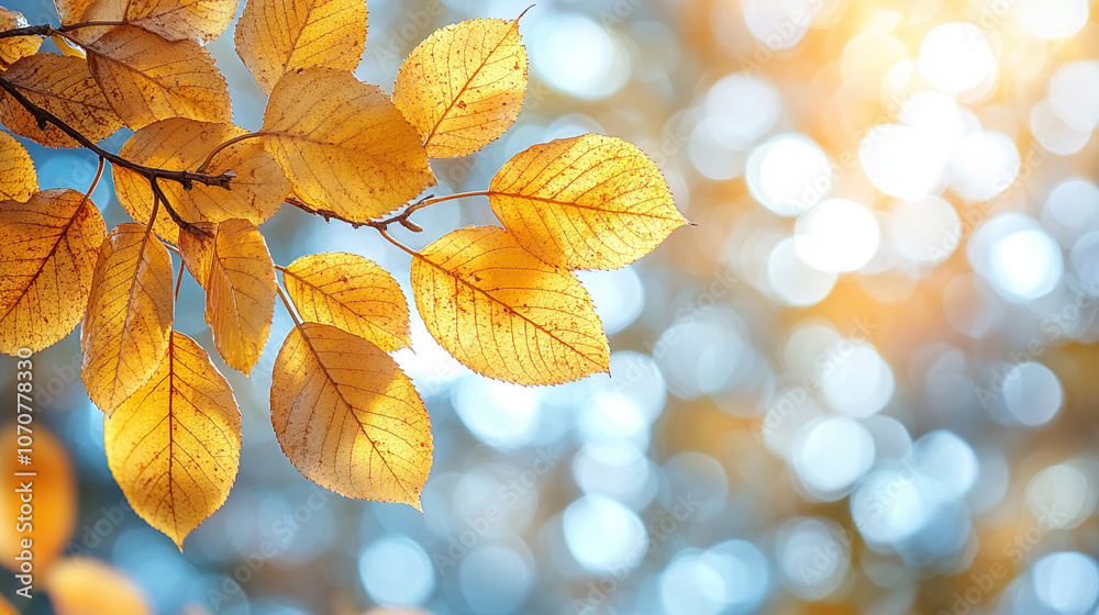 Close-up of vibrant yellow leaves on a tree branch, capturing the warmth of autumn sunlight. The image symbolizes renewal, transformation, and the transient beauty of nature’s seasonal cycles Close-up of vibrant yellow leaves on a tree branch, capturing the warmth of autumn sunlight. The image symbolizes renewal, transformation, and the transient beauty of nature’s seasonal cycles