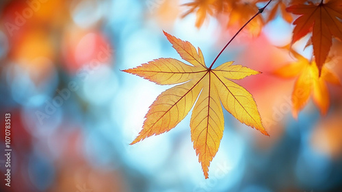 Close-up of vibrant yellow leaves on a tree branch, capturing the warmth of autumn sunlight. The image symbolizes renewal, transformation, and the transient beauty of nature’s seasonal cycles