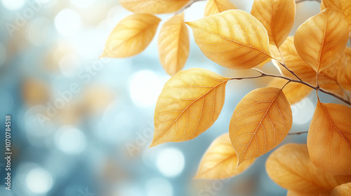 yellow leaves on a tree branch, capturing the warmth of autumn sunlight. The image symbolizes renewal, transformation, and the transient beauty of nature’s seasonal cycles