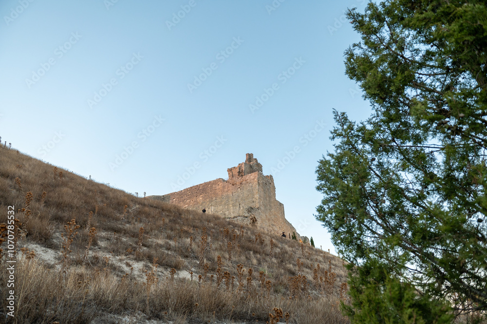 Fototapeta premium Panorama of the medieval castle of Castrojeriz built in the municipality of Castrojeriz in the 13th century, in Burgos in October 2024.