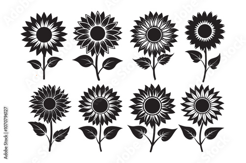Sunflower Silhouette vector illustration, Sunflower Silhouette Bundle 