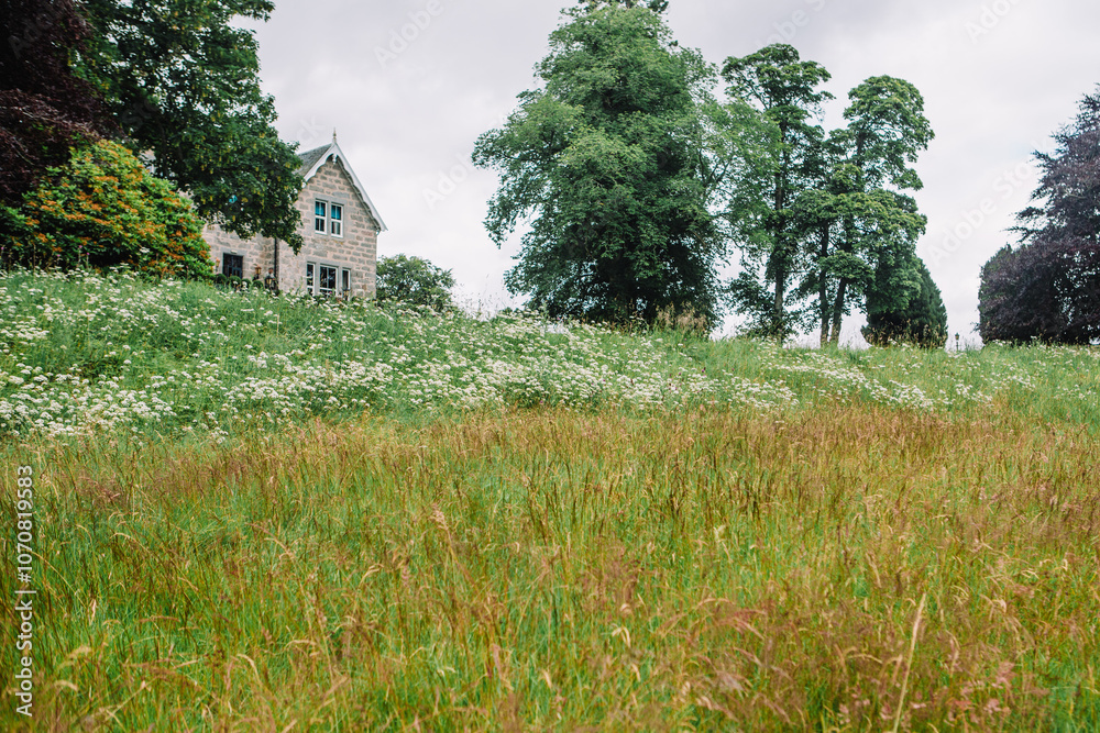 Obraz premium A manor in Scottish Highlands