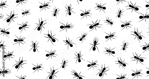 Seamless pattern of ants. Realistic black ant on white background. Path and ants. Vector.