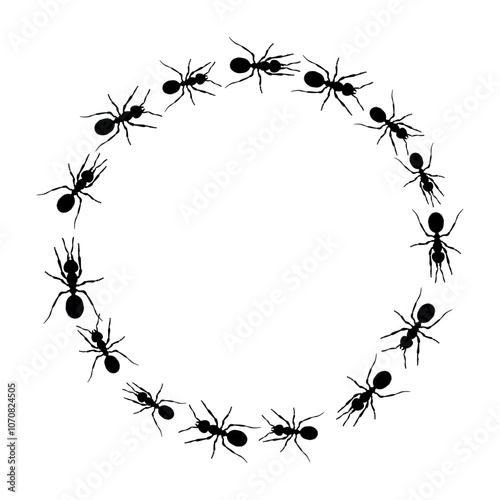 Ants in a circle. Realistic black ant on white background. Path and ants. Vector.