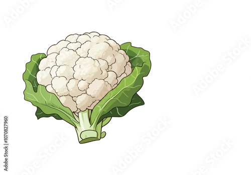 broccoli isolated on white background