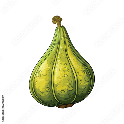 green fig isolated on white background