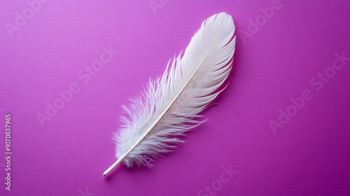 A soft white feather is elegantly placed against a bold purple backdrop, creating a stunning contrast that enhances its delicate structure and texture