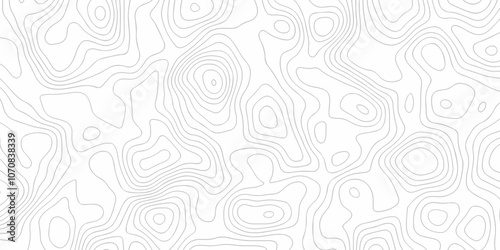 Topography relief and topographic map wave line contour background. Lines Topographic contour lines map seamless pattern. Vector abstract wave curve topo grid map with Geographic mountain relief.