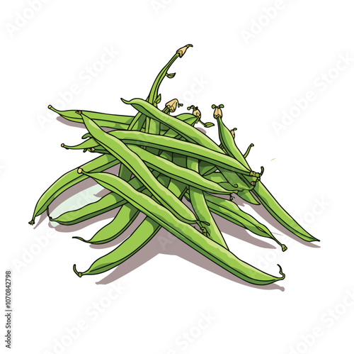 green beans isolated on white