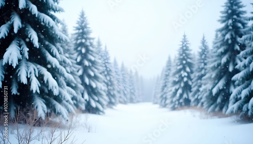 Winter snowy forest landscape showcasing tall trees blanketed in fresh snow, creating a serene, cold, and peaceful atmosphere perfect for seasonal and winter-themed visuals.