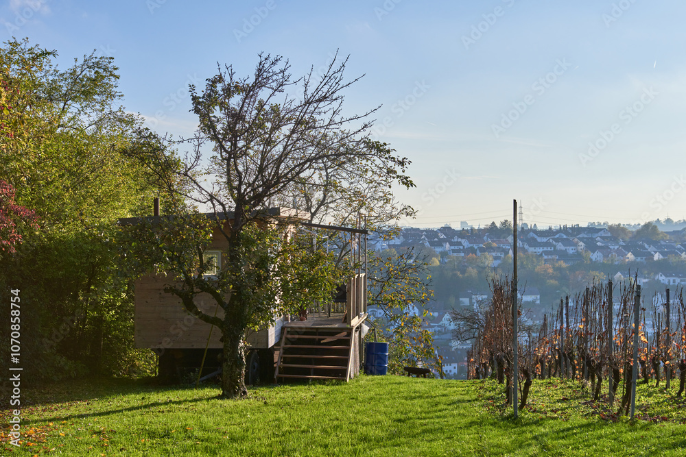 A peaceful landscape with a magnificent apple tree and a scenic view that invites serenity