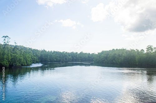 upstream of the river with mangrove forests on the left and right sides