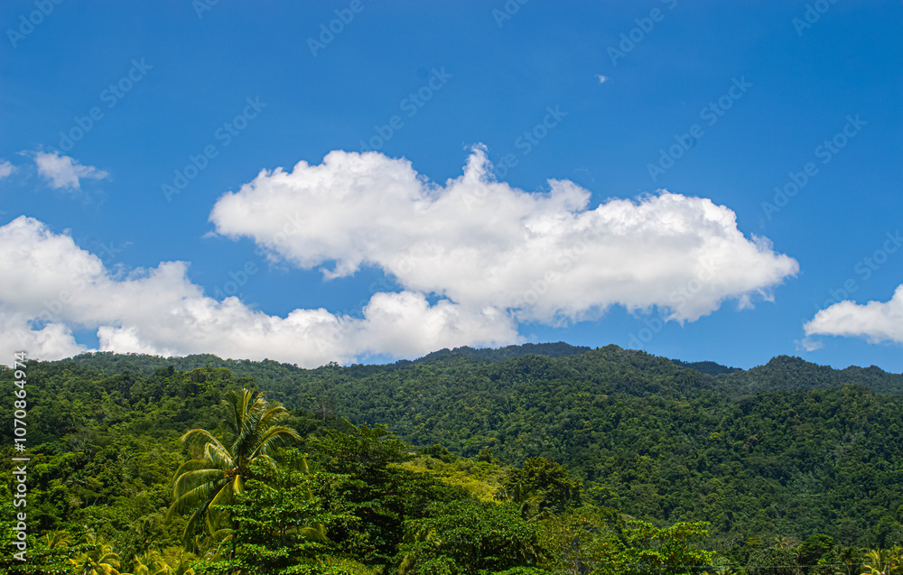 Fototapeta premium landscape with forest and clouds