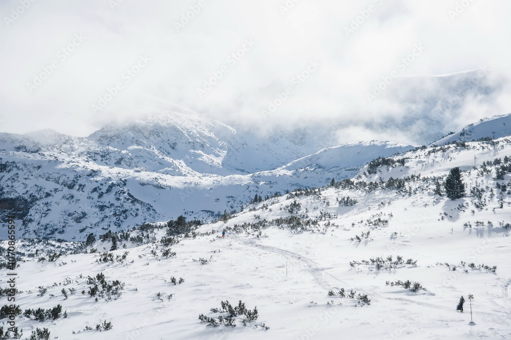 Fototapeta premium winter landscape with snow and trees in mountains